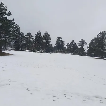 Tranquility Pirin Golf * Raslog