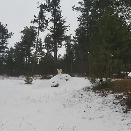 Апартаменты Tranquility Pirin Golf *