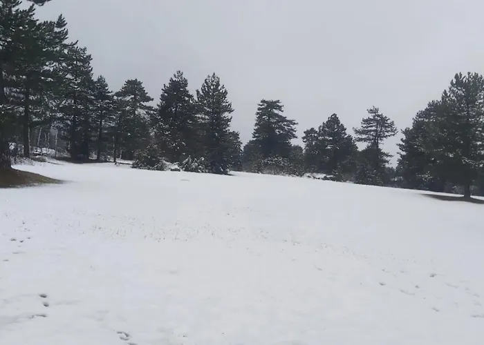 Tranquility Pirin Golf * 라즐로그