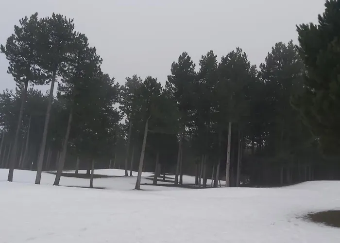 Tranquility Pirin Golf 아파트 라즐로그